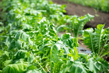 第1弾イベントレポート1