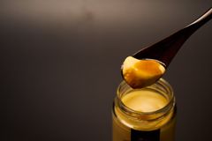 プリン研究所に会員制上位店が2020年秋に登場！世界中のおいしい食材を使用した最高級プリンを提供