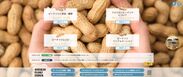 日本語版公式WEBサイトを11月6日からオープン！　ピーナッツの美容・健康効果、レシピなどの最新情報を発信　～ピーナッツの情報がより身近に～