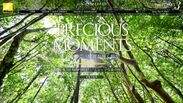 『「THE PLANET 3」PRECIOUS MOMENTS 高砂淳二　地球が輝く瞬間』第5回：「in the rainforest ユニークな森の住人」を公開