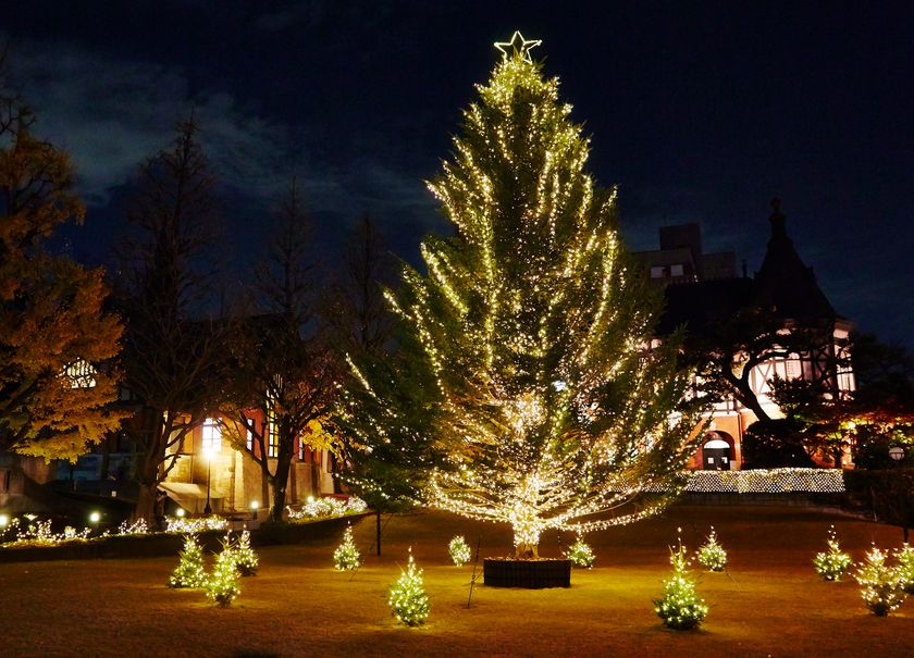 大学で夜空に輝くクリスマスツリーを堪能 19明治学院 クリスマスツリー 点灯式開催 白金11月22日 金 横浜11月15日 金 入場無料 予約不要 明治学院大学のプレスリリース