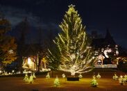 クリスマスツリー(白金キャンパス)