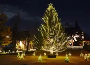 クリスマスツリー(白金キャンパス)