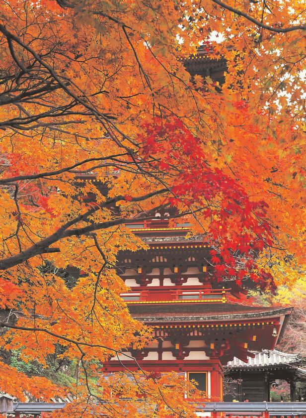 秋の臨時バス運行について