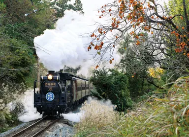 SLパレオエクスプレス