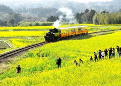 房総里山芸術祭 いちはらアート×ミックス2020　企画発表会を東京・白金台「八芳園」で開催