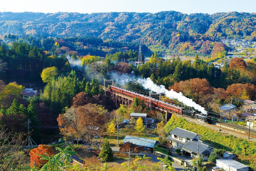 「地元高校生」×「SLパレオエクスプレス」コラボレーション
　秩父農工科学高校写真部による「写真展」　
小鹿野高校生徒会による「竹あかり展示」　
～高校生が地元を盛り上げます～