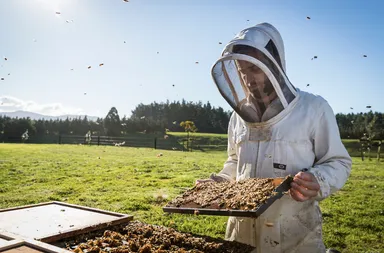 最高品質・稀少なニュージーランド産マヌカハニー