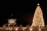 ワシントンDCのナショナルクリスマスツリー