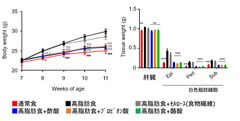 日東薬品と東京農工大、短鎖脂肪酸摂取による肥満抑制メカニズムを解明