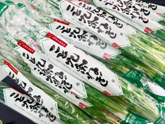 京都伝統野菜「こと九条ねぎ」ブランドねぎが大集合「全国ねぎサミット2019 in まつど」へ参加