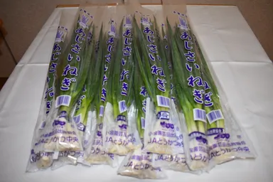 松戸特産　あじさいねぎ