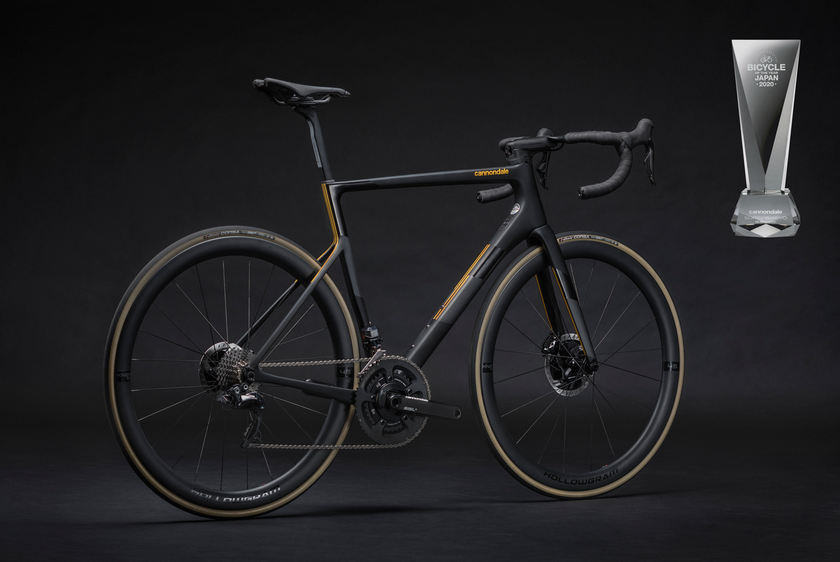 evo park lane bike
