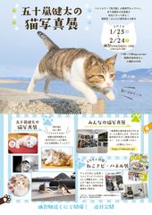 “猫専門カメラマン”五十嵐健太の「飛び猫写真展」を広島県・宮城県・秋田県で初開催