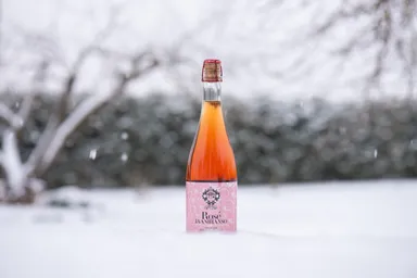 ヤーニハンソ・シードル