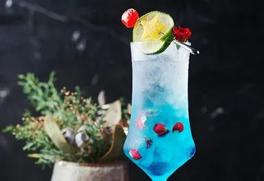 クリスマスカクテル ～ジョワイユ・ノエル～