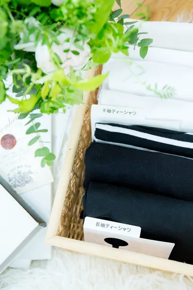 引き出し収納(1)