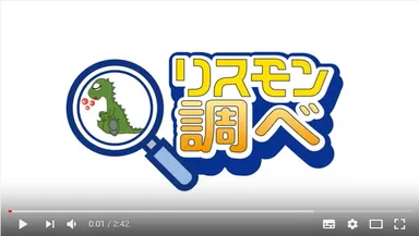 リスモン調べ動画画面キャプチャ
