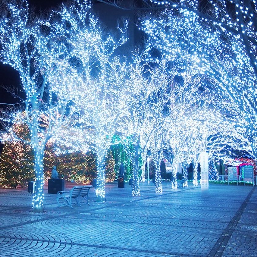 「京セラ本社イルミネーション2019」について
