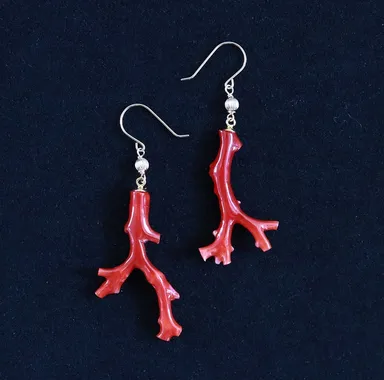 高知県産血赤枝珊瑚ピアス