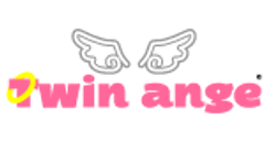 Twin angeのロゴ