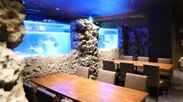 鯛専門の活魚料理店が大阪・道頓堀に12月3日オープン！約7mの水槽を設け、注文ごとに鯛をすくい調理して提供