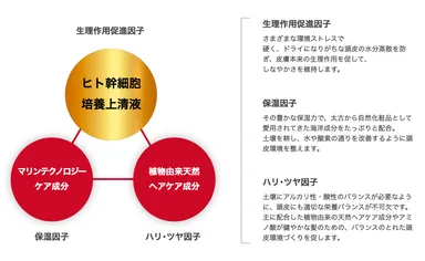 セルヘアプラス3D理論