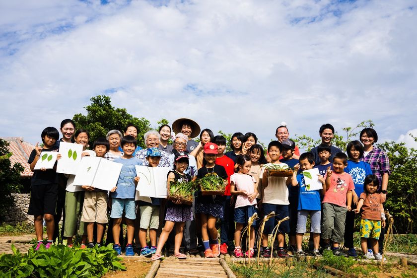 星のや竹富島
命草畑（ぬちぐさばたけ）で命草を収穫しました