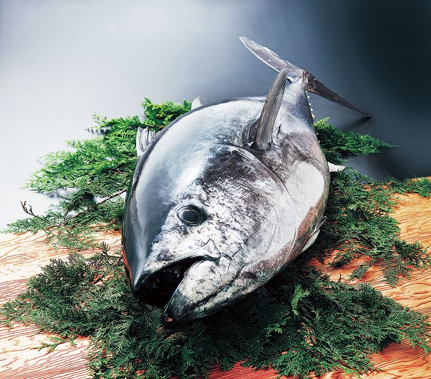 11月28日(木) 京阪百貨店 モール京橋店
モール食品館の一部がリニューアルオープン