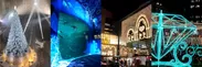 2019年の作品写真(左から)：横浜ランドマークタワー、新江ノ島水族館、横浜駅西口、札幌大通公園