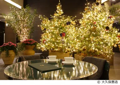 Bunkamura Christmas Illumination