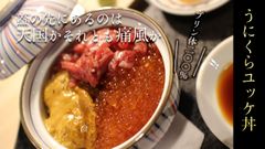 渋谷初※！焼肉全品ほぼ380円以下！レモンサワー60分飲み放題！焼肉ホルモン台所家 渋谷桜丘店がグランドオープン！