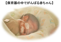 「ちいさな いのち応援プロジェクト」6割がNICU※1卒業した子育て世帯　「プロジェクト」開始から10日間で延べ20万人、賛同者多数集まる～期間：2019年11月17日～12月25日まで～