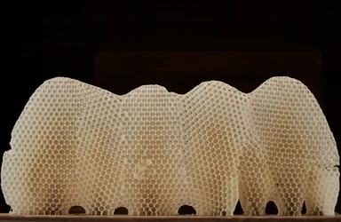 【星のや軽井沢】ハチの巣