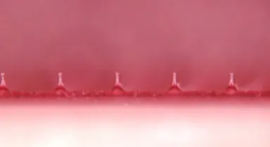 ピンクのマイクロニードル2