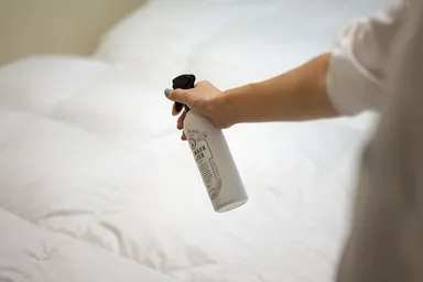 ベッドの除菌消臭に