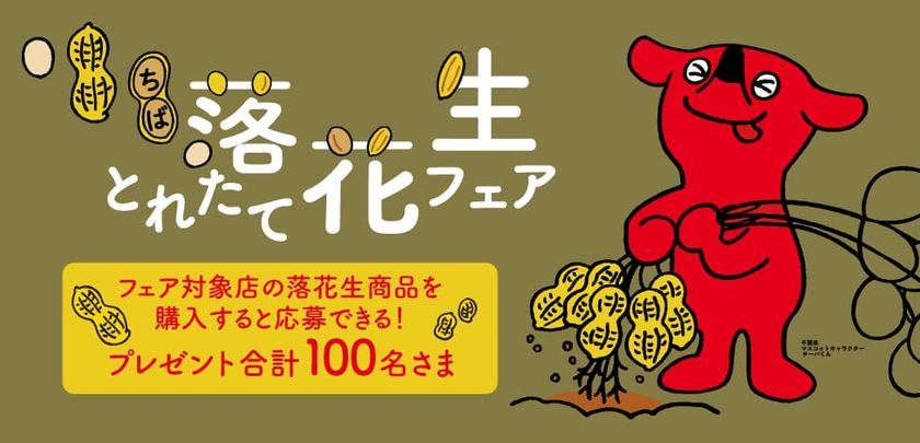 千葉県特産物やチーバくんグッズ が当たる ちば落花生とれたてフェア 19年12月31日 火 まで開催 千葉県農林水産部 ちば落花生とれたてフェア運営事務局 のプレスリリース