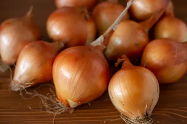 厳選したこだわりの肉厚玉ねぎ