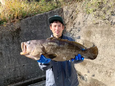 対馬の漁師銭本氏から届く天然クエ