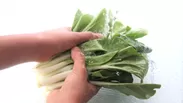 野菜を洗う 1