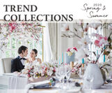 TREND COLLECTIONS