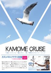 カモメと行く淡路島うずしおクルーズ　寒い冬だけの特別なふれあい体験