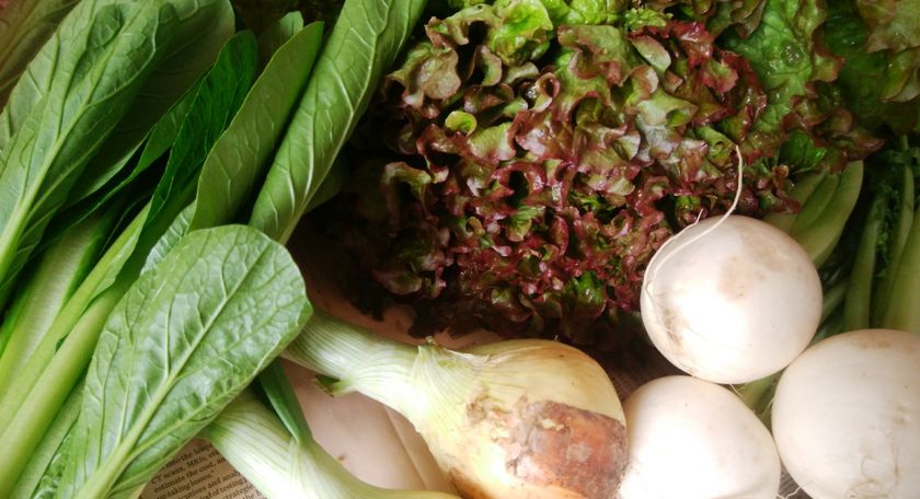 「ふるさと納税」に関する実態調査
