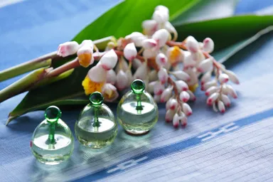 【星のや竹富島】スパトリートメント　月桃の眠