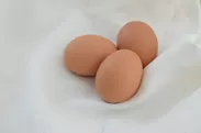 こだわりぬいた卵