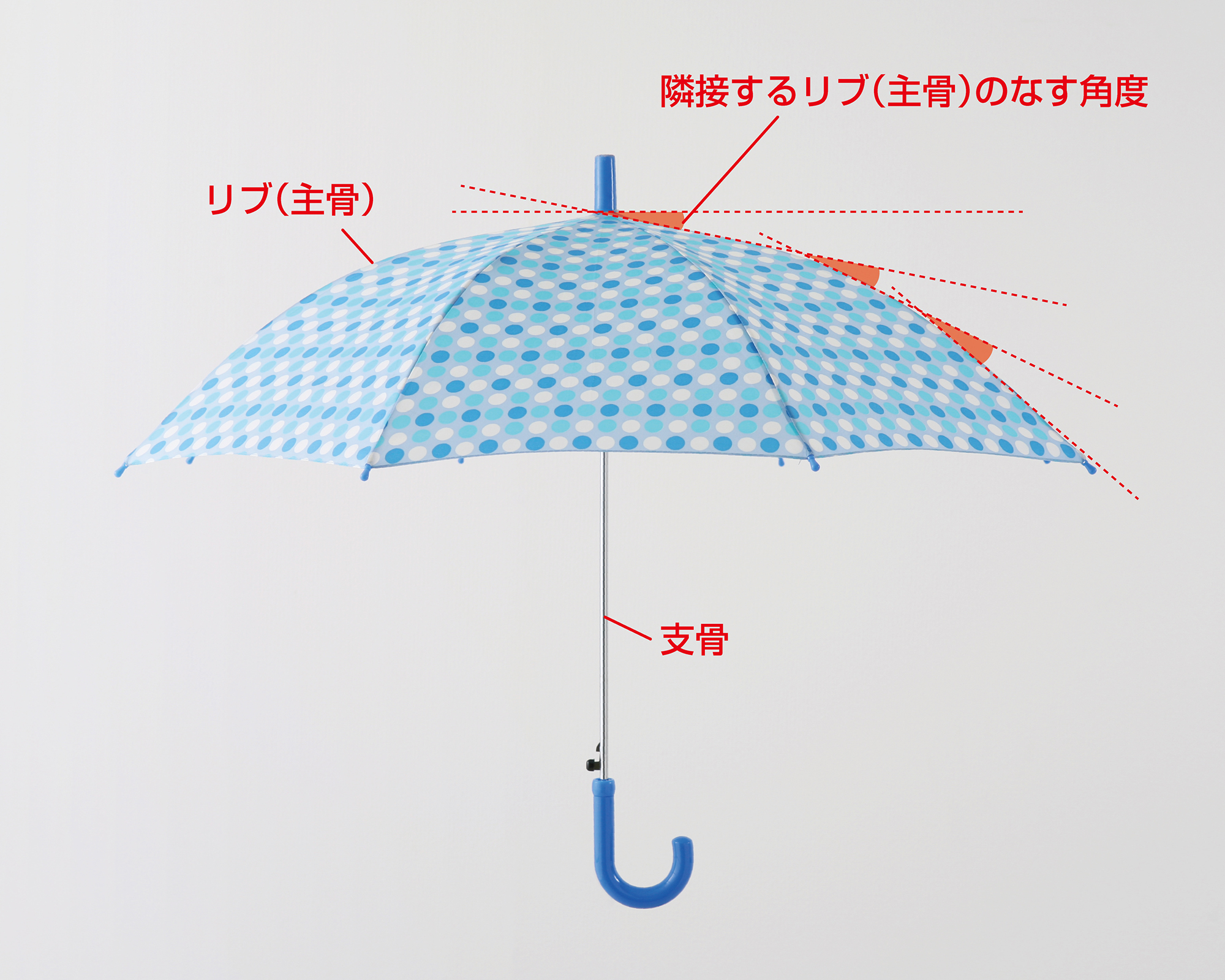 算数 数学の自由研究作品コンクール Mathコン19 中学校2年生が 日本数学検定協会賞 を受賞 雨傘の形と値段の相関性 を調査し数学的に考察 公益財団法人 日本数学検定協会のプレスリリース