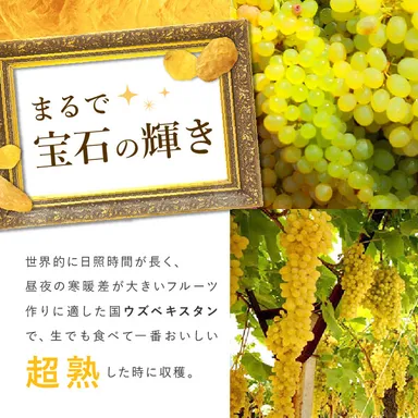 ゴールデンレーズン(2)