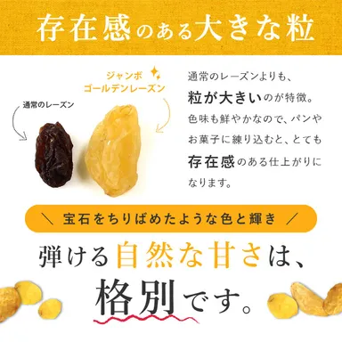 ゴールデンレーズン(3)