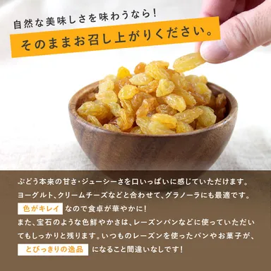 ゴールデンレーズン(4)