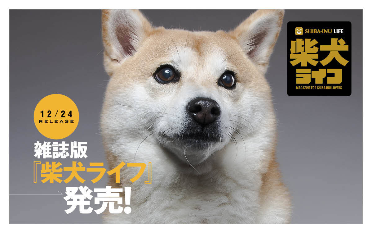 Rakanu 雑誌版 柴犬ライフ が季刊誌に 柴犬ライフ 冬号 好評予約受付中 Rakanu株式会社のプレスリリース